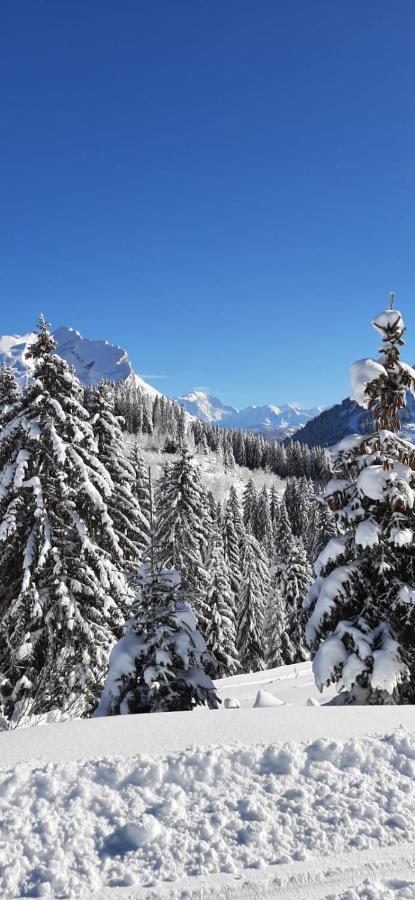 Studio Marmotte Font-Romeu 4 Personnes Avec Balcon Residence Val Soleil Entierement Renove En Juin 2021 Place De Parking & Wifi Gratuit , Draps & Serviettes De Toilettes Non Inclus, Sabanas Y Toallas No Incluidos Zewnętrze zdjęcie