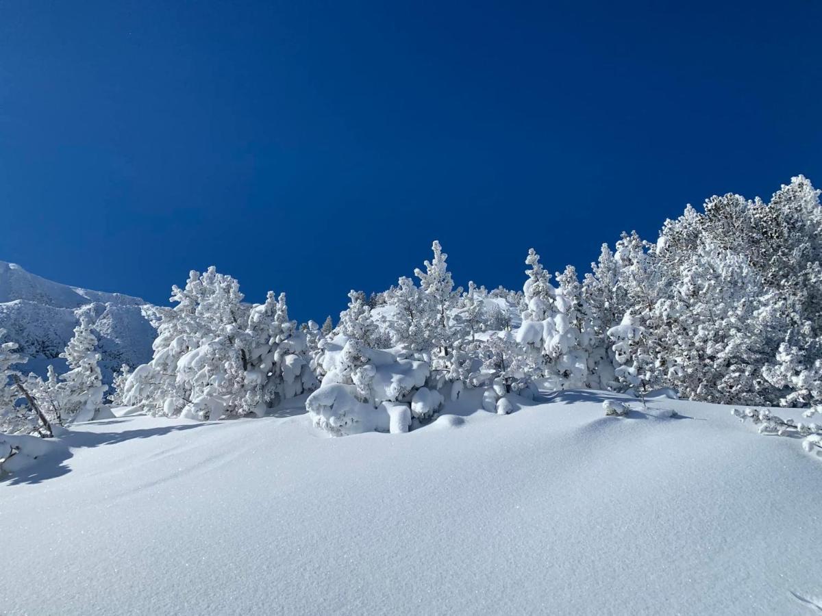 Studio Marmotte Font-Romeu 4 Personnes Avec Balcon Residence Val Soleil Entierement Renove En Juin 2021 Place De Parking & Wifi Gratuit , Draps & Serviettes De Toilettes Non Inclus, Sabanas Y Toallas No Incluidos Zewnętrze zdjęcie